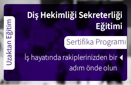 Diş Hekimi Sekreterliği Eğitimi